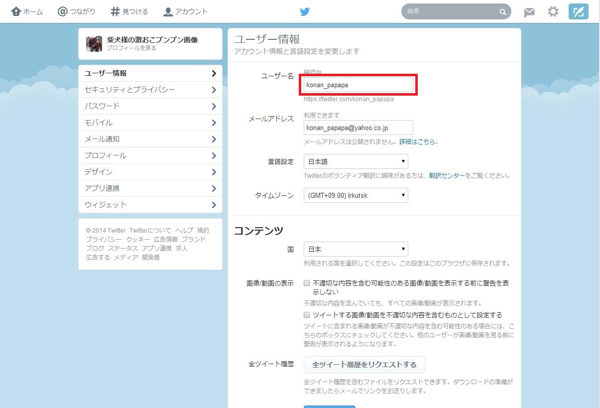 Twitter̃AJEgύXO